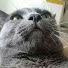 F5QGYMCYjhQ-channel-avatar-Paro7