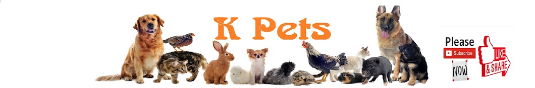 K pets رمز قناة اليوتيوب