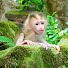 qFoVmnX-3VU-channel-avatar-Cambodia Monkeys News