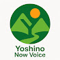 Profile picture of Yoshino Now Voice