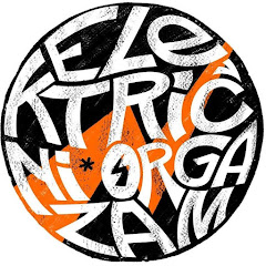 ElektričniOrgazam Official net worth