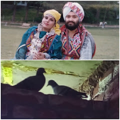 Jagdish K Dhillon-Siyasat,Shayri and Sakoon