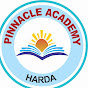 PINNACLE ACADEMY logo