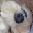 @어쩌라규우