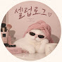 셀럽로그