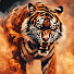 U32QXSvAU1A-channel-avatar-TigerPlayz