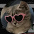 الصورة الرمزية لـ @FfVg-v7v