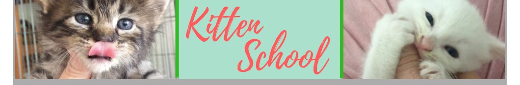 Kitten School YouTube-Kanal-Avatar