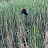 @JP-8000's avatar