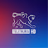 Channel Image
