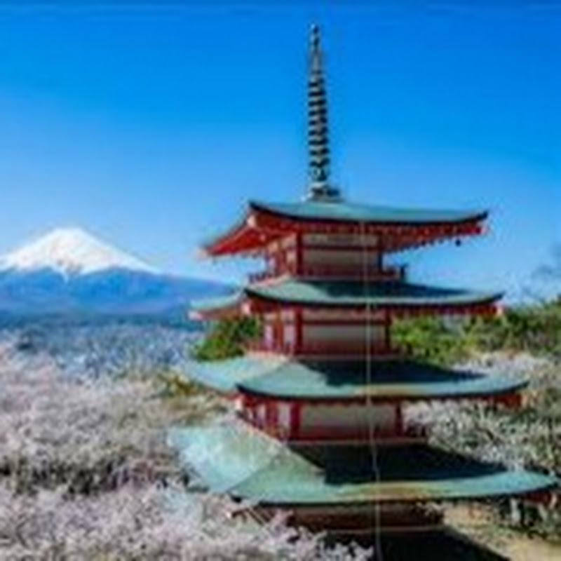 シニアの知恵袋