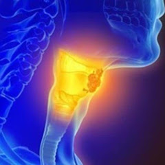 自由な喉【超理論派ボイトレ】アイコン画像