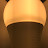 @Mr.Lightbulb371