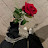 @Cucy_17.ha2