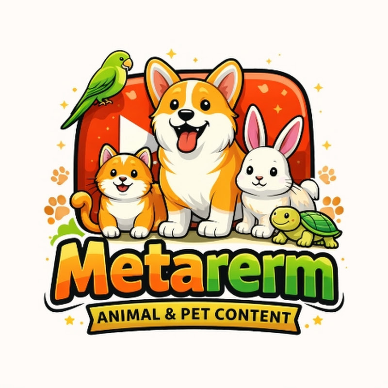 METARERM icon