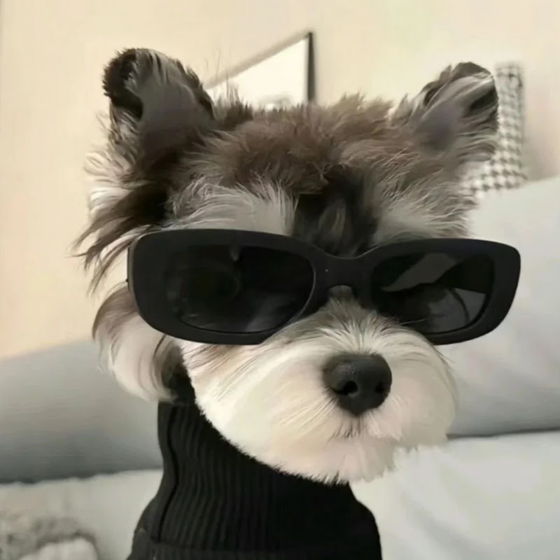 CoCpet