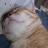@citotchannel8746