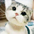 9JM6INykMw4-channel-avatar- ikuike log ~ふたりの暮らし~
