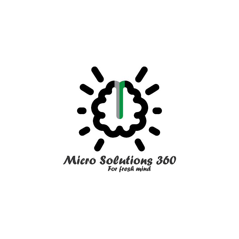 Micro Solutions 360