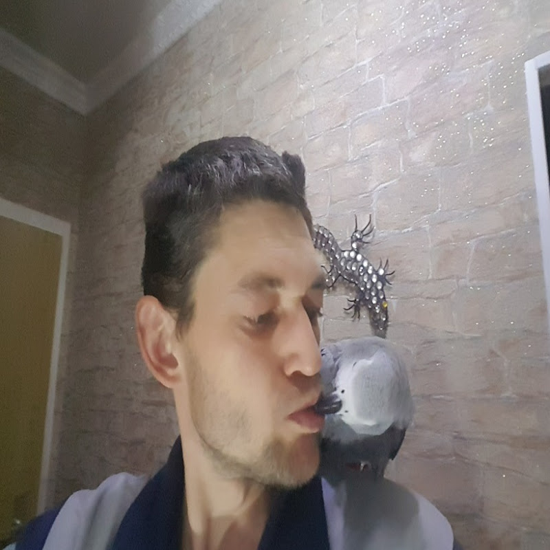 Попугай матершинник Рико