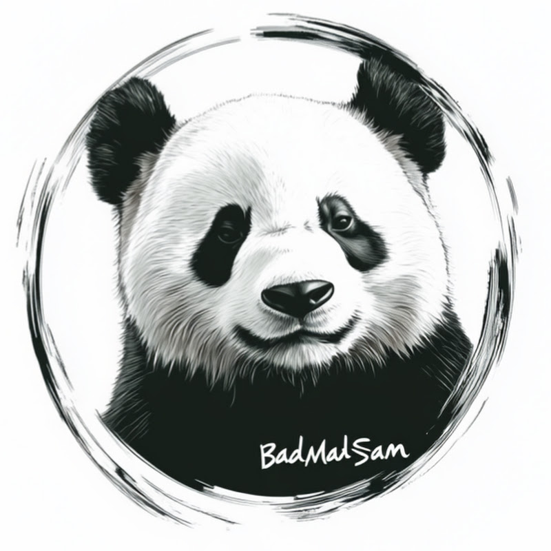 BadMadSam | Обзоры инструментов, гаджетов, техники