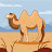 @Shahi238 Avatar