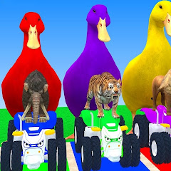 ANIMALSGAME
