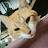 @rinalevi7402
