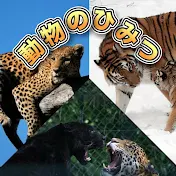 動物のひみつ