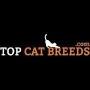 Top Cat Breeds