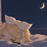 GCsykI3ctz8-channel-avatar-다시