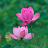K_nhkP84uOM-channel-avatar-Diệu Uyên 