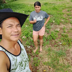 Sunny bird and babylen tacbobo