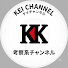 jZv5_BGRi7E-channel-avatar-ケイチャンネル