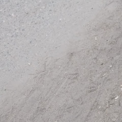 Bangladesh vs Afghanistan 2022