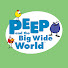 9fWhSjE33xs-channel-avatar-Peep and the Big Wide World