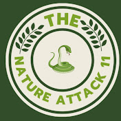 The Nature Attack 11