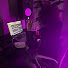 mdMGdX8k09g-channel-avatar-Hundo