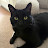 @Supertotallysanekittykat