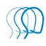 RzaGZMVQBdk-channel-avatar-Brain Injury Association of Arizona
