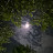 @Moon9-y8e