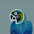 @billya6828 Avatar