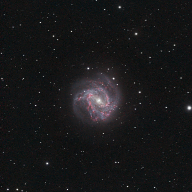 AstroLevi
