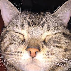 ろき