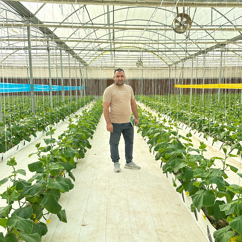 المهندس أحمد سعيد 