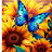 @Topshelf81 Avatar