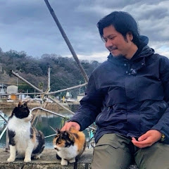 前世ねこ男 / 旅と猫アイコン画像