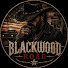 3-Be353bKFE-channel-avatar-BLACKWOOD ROAD