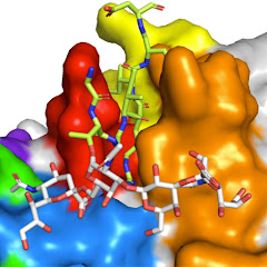 加藤幸成の抗体創薬チャンネル