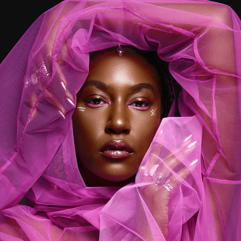 Dominique Fils-Aimé